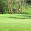 Newaukum Valley GC