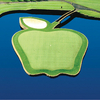 Apple Tree GC: #17