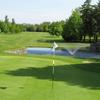 Black Bush GC - B: #9