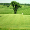 Bluff Creek GC: #8