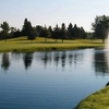 Purple Hawk CC: #13