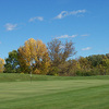 Bulrush GC: #1