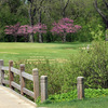 Deer Path GC