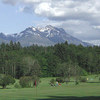 Hollies Executive GC