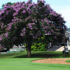Sabie CC: Clubhouse
