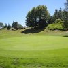 Hauraki GC: #7