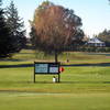 Morrinsville GC: #10