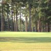 Stumpy Lake GC