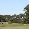 Otter at River Oaks Golf Plantation: #6