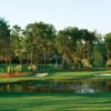 Pinehurst RCC - No. 5: #15