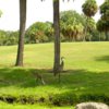 Turtle Creek GC