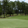 Pine Forest CC
