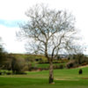 Mayobridge GC