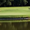 Fota Island GC - Deerpark: #18