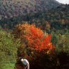 West Bolton GC