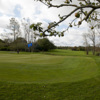 Beaverstown GC: #12