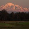 North Bellingham GC