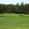 Woodland Valley CC - Diamond Back: #6