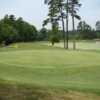 Walnut Wood GC: #3