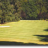 Salem GC #1