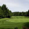 Salishan: #3