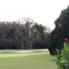 Temple Terrace GCC: #15