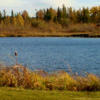 Edmonton Springs GC