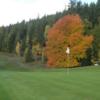 Anglemont Estates GC: #9