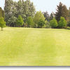 St Helen's #1