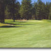 Widgi Creek #1