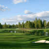 Old Greenwood #6