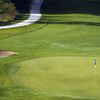Stone Tree GC
