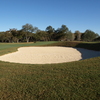 Brackenridge Park #1