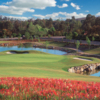 Reidy Creek: #1