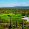 #3 from the Tortolita Nine