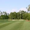 A view from Tiburon Golf Club:  Black Course
