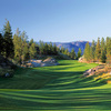 Predator Ridge - Ridge: #8