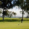 Coronado GC: green