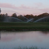 Sparrow Lakes G.C - Sparrow