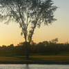 Sparrow Lakes G.C - Heron