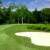 Wescott Plantation Black Robin Nine: #2