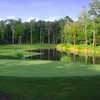 Wescott Plantation Oak Forest Nine: #8
