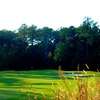 Carolina Colours GC: #6
