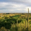 Mountain at Ventana Canyon