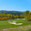 Hawk at Priddis Greens