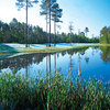 Windance CC