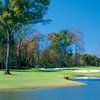 The Georgia C: #7