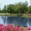 The Georgia C: #7