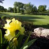 Bristol Oaks CC