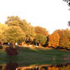 Duck Hollow GC